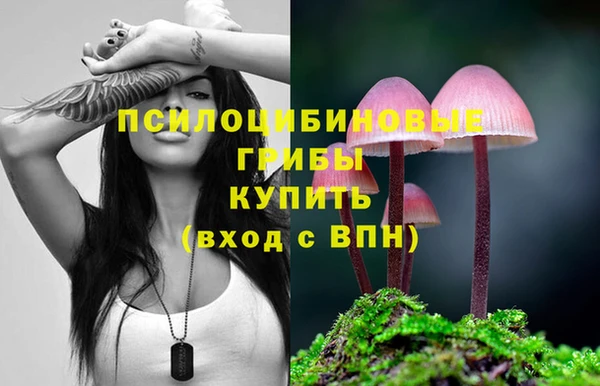 героин Алзамай