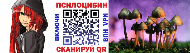Псилоцибиновые грибы MAGIC MUSHROOMS  сайты даркнета наркотические препараты  Хотьково 